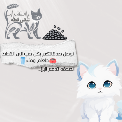 صحن طعام قطط يكفي الى 15 قطه